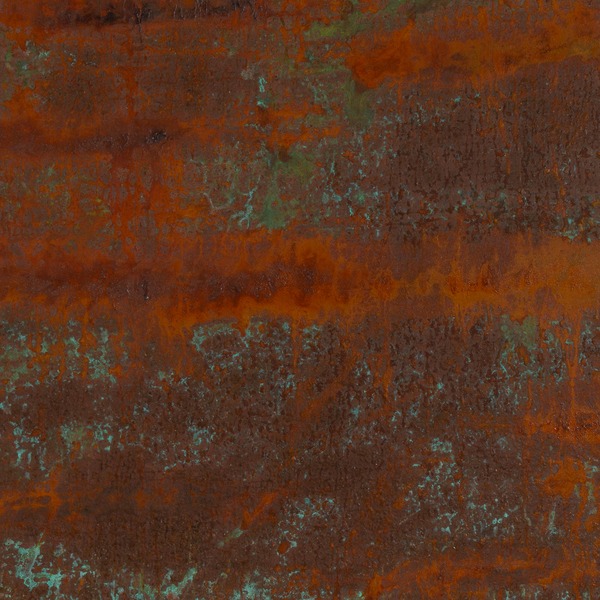 Mario Moraes, Aiuruoca. Iron and copper on wood panel.